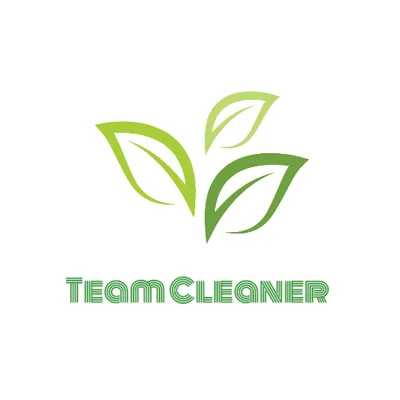 Team Cleaner